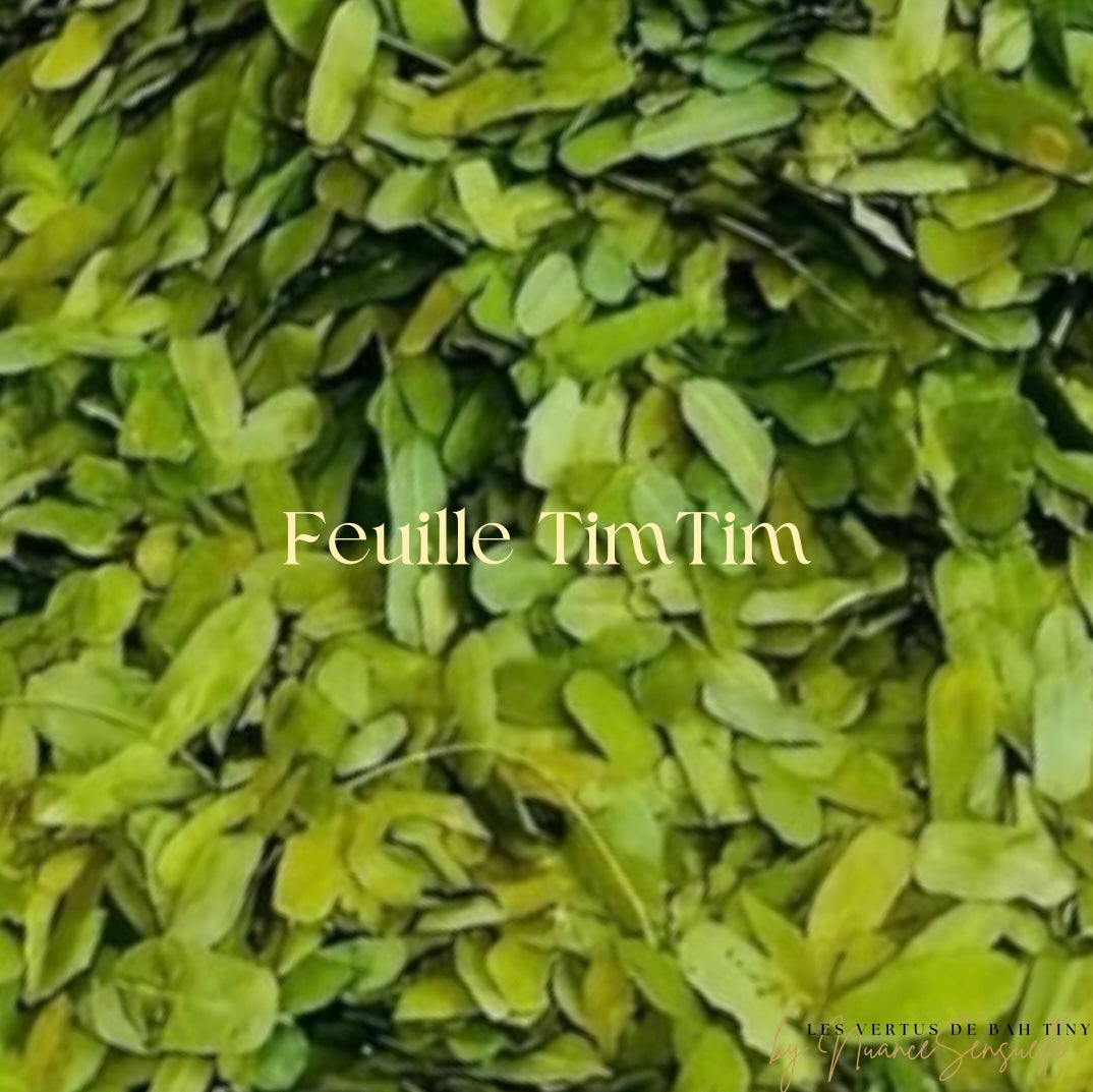 Feuille de Timi Timi