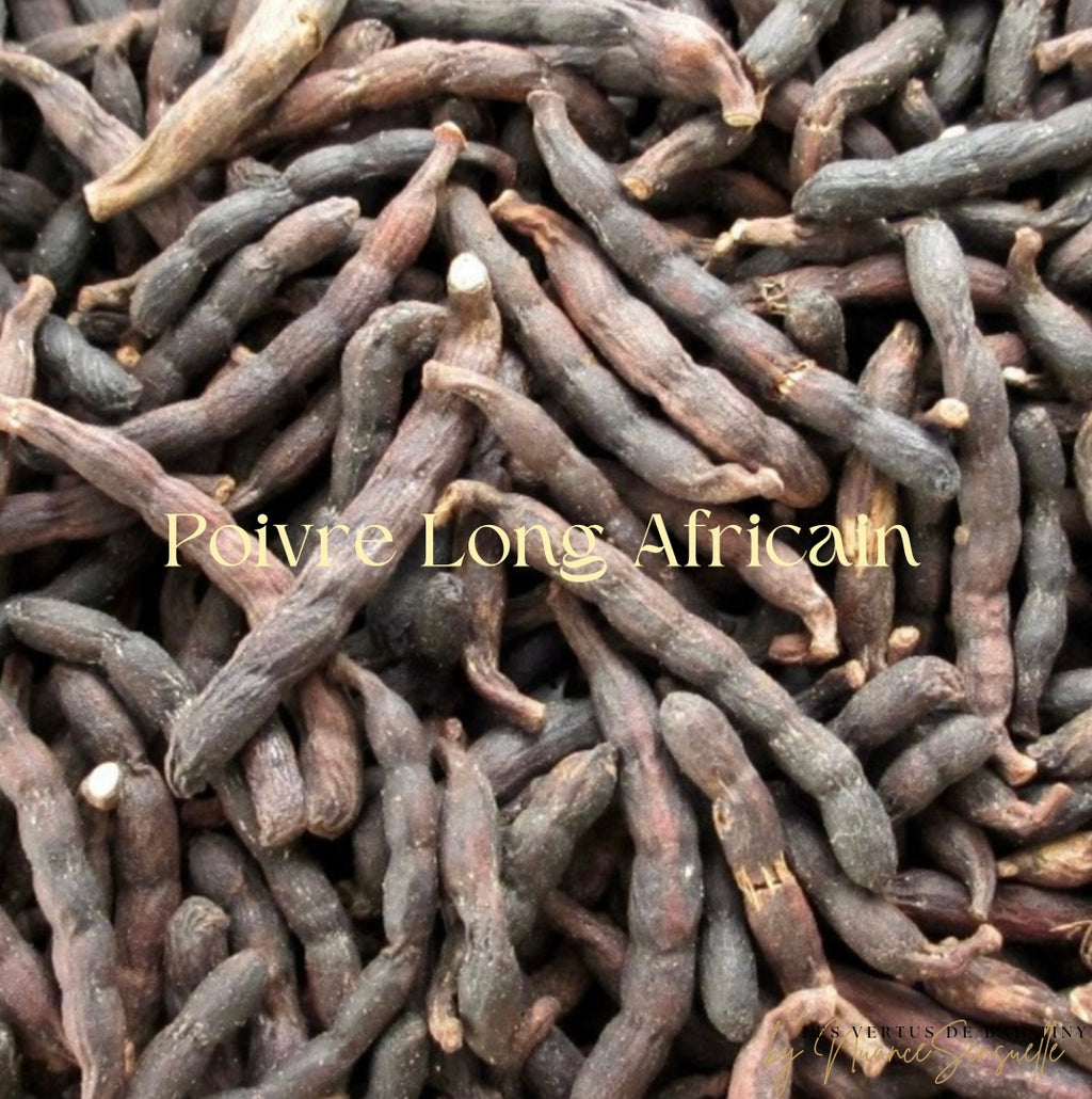 Poivre Long ou Africain