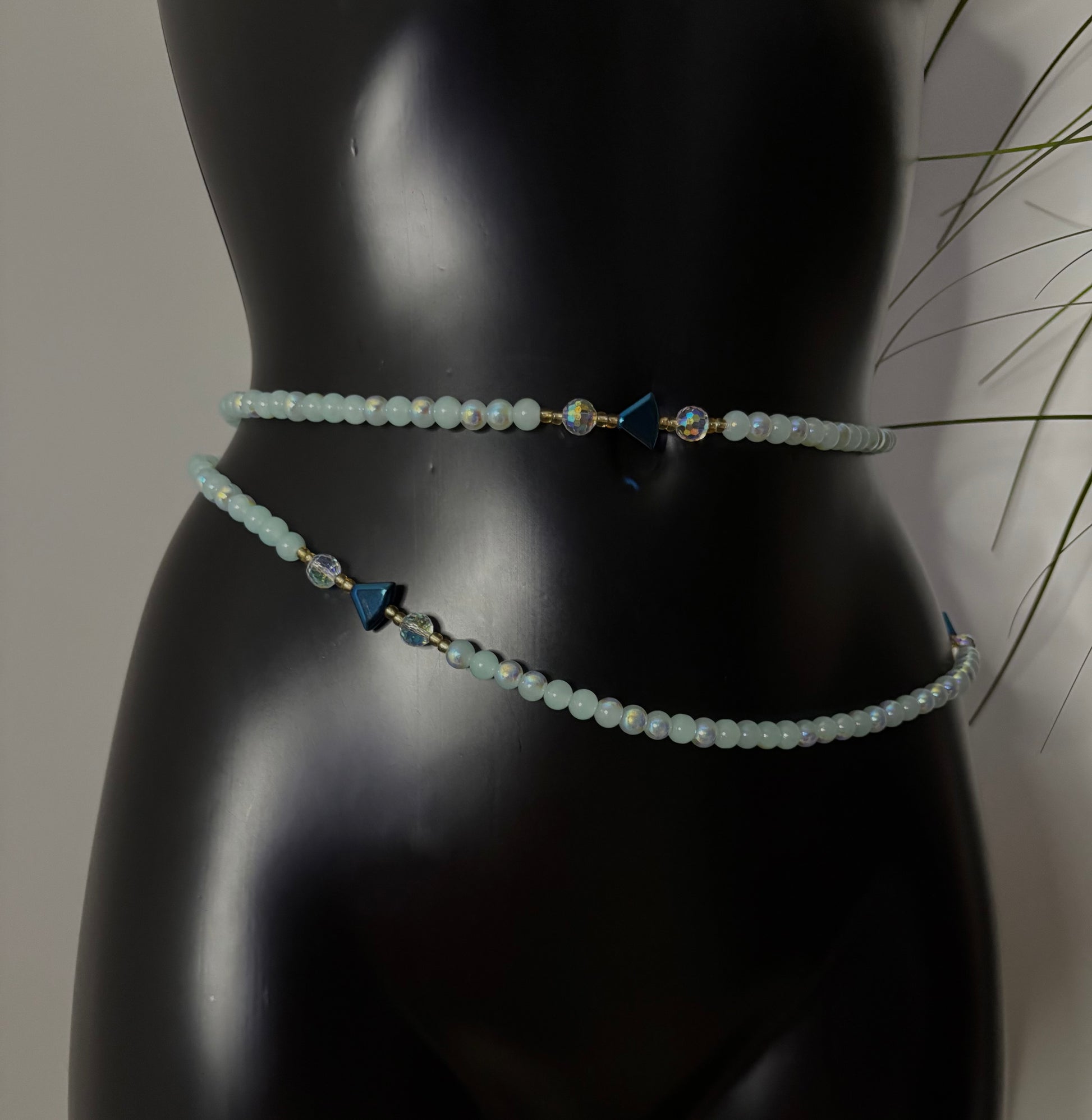 Baya Pita bleu