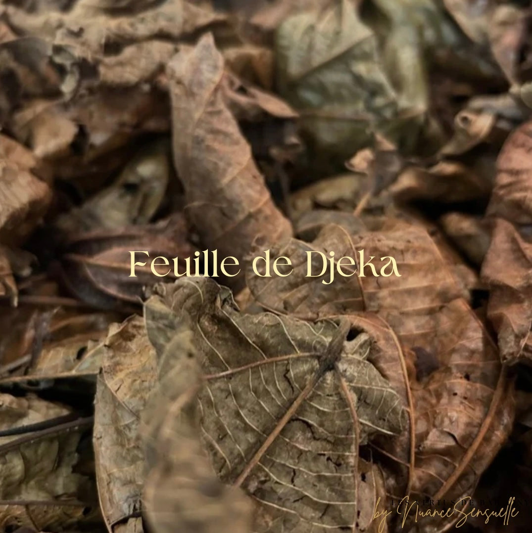 Feuille de Djeka