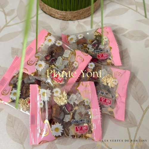 Plante Yoni